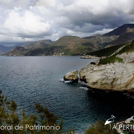 Appartamento studio termer Patrimonio Esterno foto