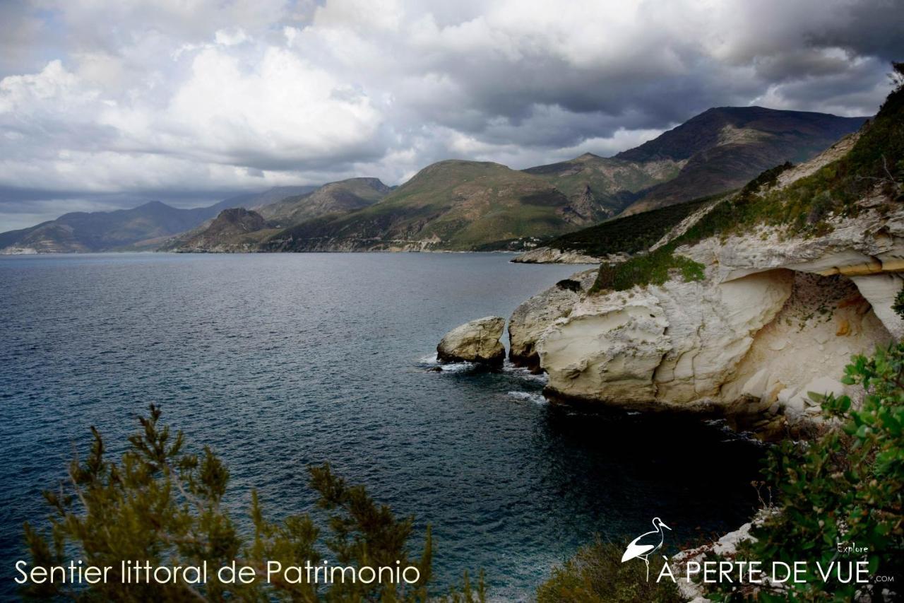 Appartamento studio termer Patrimonio Esterno foto