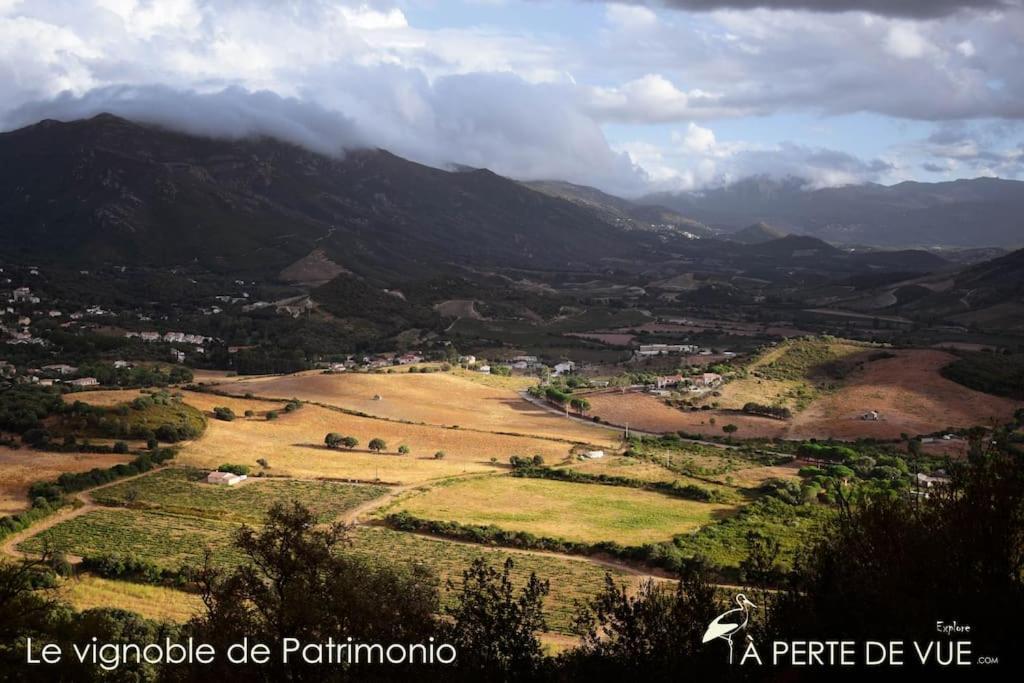 Appartamento studio termer Patrimonio Esterno foto